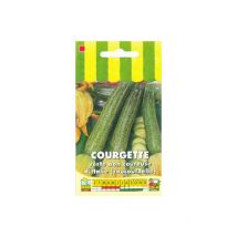 Courgette verte non coureuse d'Italie - 5g