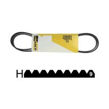 Courroie 1060H9 pour lave linge indesit - C00095888