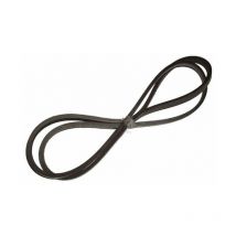 Courroie 10x1446mm Pour Lave Linge Adaptable Miele - 308184
