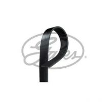Courroie accessoire Gates 4 stries longueur 668 mm