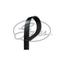 Courroie accessoire GATES 7 stries longueur 1770 mm