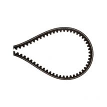 Courroie Brill B15036