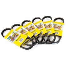 Courroie de transmission Gates BOOST DN 1038x28x14 – Longueur, Largeur – Courroie pour moteur thermique
