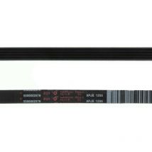 Courroie Lave-Linge 5Pje 1255 (5500002576)