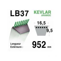 Courroie lb37 - 16,5 mm x 952 mm