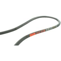 Courroie lisse hexagonale AA116.5 – Jardin piscine – Longueur: 3010 mm, Largeur: 3 – EUROGARDEN