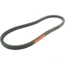 Courroie lb31 - 16,5 mm x 799 mm