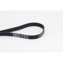 Courroie Trapézoïdale 6pk1836 Continental