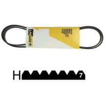 Courroie poly-v 1970 h7 - 481235818051 - whirlpool bauknecht