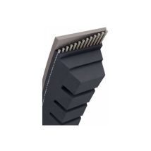 Courroie tondeuse AX26 Trapézoïdale Crantée - 13 mm x 710 mm