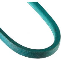 Courroie tondeuse Gianni Ferrari 00111980006