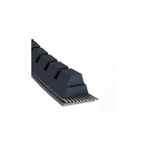 Courroie tondeuse XPZ630 Trapézoïdale crantée - 9,7 mm x 642 mm
