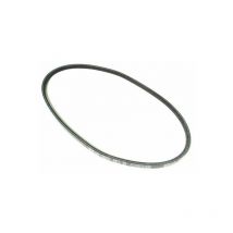 Courroie traction tondeuse MTD SPK53HW