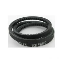 Courroie trapézoïdale MASCHIO F06010066R