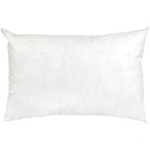 Coussin c Plumes à recouvrir Plumettes de canards 60x40 cm