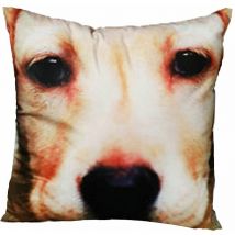 Coussin Carré Chien Déhoussable