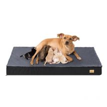 Coussin Grand Chien Déhoussable: Panier pour Chien Orthopédique Grande Taille Tapis pour Chiens Lavable Matelas Imperméable en Mousse - XXL