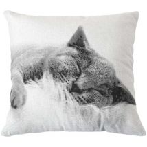 Coussin imprimé chat