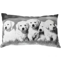 Coussin imprimé chiens