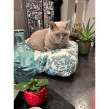 Calinuit - Coussin tapis matelas panier pour chat et chien grand luxe lavable 60x55 cm