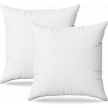 Einemgeld - Coussins 45x45 2 unités Lit et Canape Oreillers Decoratif Accessoires pour Sofa et Lit Decoration Aesthetic pour Salon et Exterieur