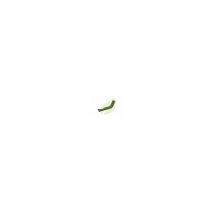 Goldoni - Couteau de fraise droit motoculteur 175mm largeur 40mm
