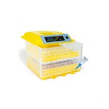 Couveuse automatique 112 oeufs incubateur autonome intelligent