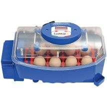 Couveuse automatique Borotto Lumia 8