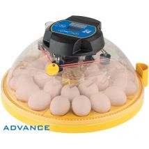 Couveuse Brinsea Maxi 24 Advance 12 Ã 24 oeufs digitale automatique