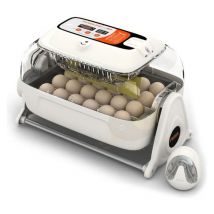 Couveuse rcom King Suro 20 max