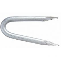 Crampillon acier galvanisé 3 x 30mm - boite 1Kg