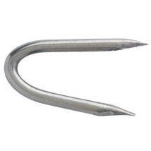 TE.POINTES - Crampillon clair 35x3.5 bte 1kg