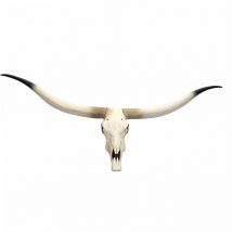 HHG - Crâne de décoration vache 698, polyresin, trophée de taureau avec cornes, 103x43x11cm