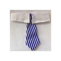 Cravate pour animal de compagnie luxueusement douce et réglable - Collier parfait pour toutes les occasions l (Bleu)