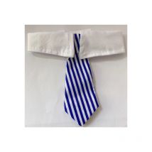 Cravate pour animal de compagnie luxueusement douce et réglable - Collier parfait pour toutes les occasions l (Bleu)