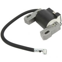 Crea - Engine Ignition Coil Module 590454 692605 790817 Stable Performance For Bs Lawn Mower