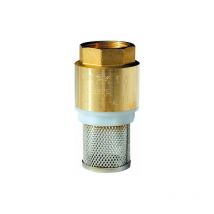 Crépine laiton filtre inox Femelle 1'1/4