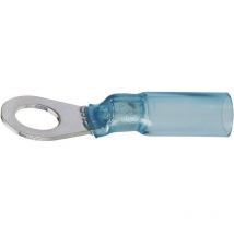 7932200502 Ringkabelschuh mit Schrumpfschlauch Querschnitt (max.)=2.50 mm² Loch-Ø=4 mm Te - Dsg Canusa