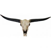 Décoshop26 - Crâne décoratif 132cm trophée tête de taureau longhorn en polyrésine intérieur/extérieur couleur naturelle 040002845