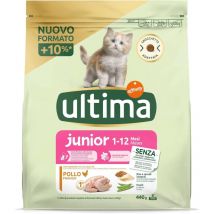 Crocchette per gatto junior 1-12 mesi 440 gr gusto pollo con crocchetta adattata okx - Ultima