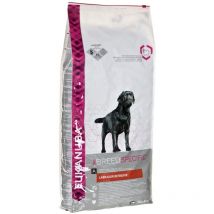 Labrador Retriever Adult - nourriture sèche pour chien - 12 kg - Eukanuba