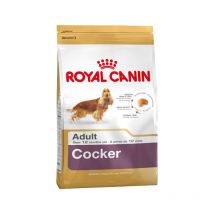 Cocker Adult - sac de 12 kg/Croquettes pour chien Cocker adulte (3182550811538) - Royal Canin