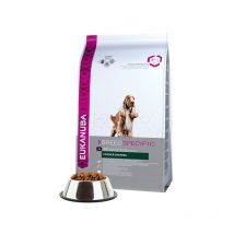 Race Specific Cocker Spaniel 7,5 kg Adulte Poulet - Eukanuba