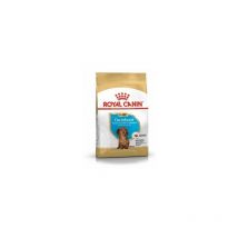 Nourriture Royal Canin shn race teckel juin 1.5 kg