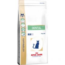 Expert dental 1,5 kg Aliment complet pour chats adultes Pour les sensibilités de la cavité buccale Pour soutenir la santé dentaire Complexe contre