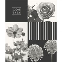Crown - discontinued Coco Wallpaper Modern Collage Flowers Floral Roses Stripes 3 Colours