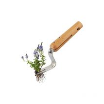 Csparkv - 19.5x4.5cm Désherbeur Manuel Extracteur Mauvaises Herbes Sarcleur avec Mesure e Manche en Bois Couteau DésherbeurOutil de Désherbage