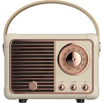 CSPARKV Enceinte Bluetooth Portable, Mini Enceinte Bluetooth Vintage, Port Clé USB/AUX/TF Carte, Decoration Chambre Deco Chambre Ado Fille Idee