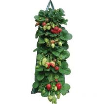 Csparkv - Sacs Plantation Fraisiers Aromatiques,Plant Grow Bag pe Pocket Plantation Sacs Légumes pour Les Fraises Herbes Fleur Pomme Terre Carotte