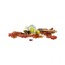 Cueille-fruits à emmancher